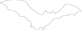 Vector Icon